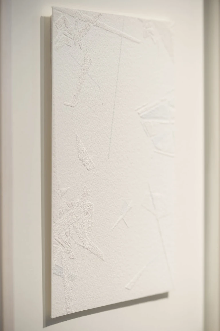 Saeed Naderi, Le Ombre dei rami, 2018