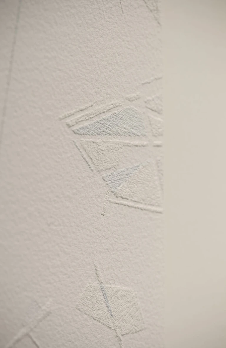 Saeed Naderi, Le Ombre dei rami, 2018