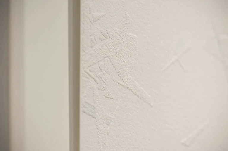 Saeed Naderi, Le Ombre dei rami, 2018