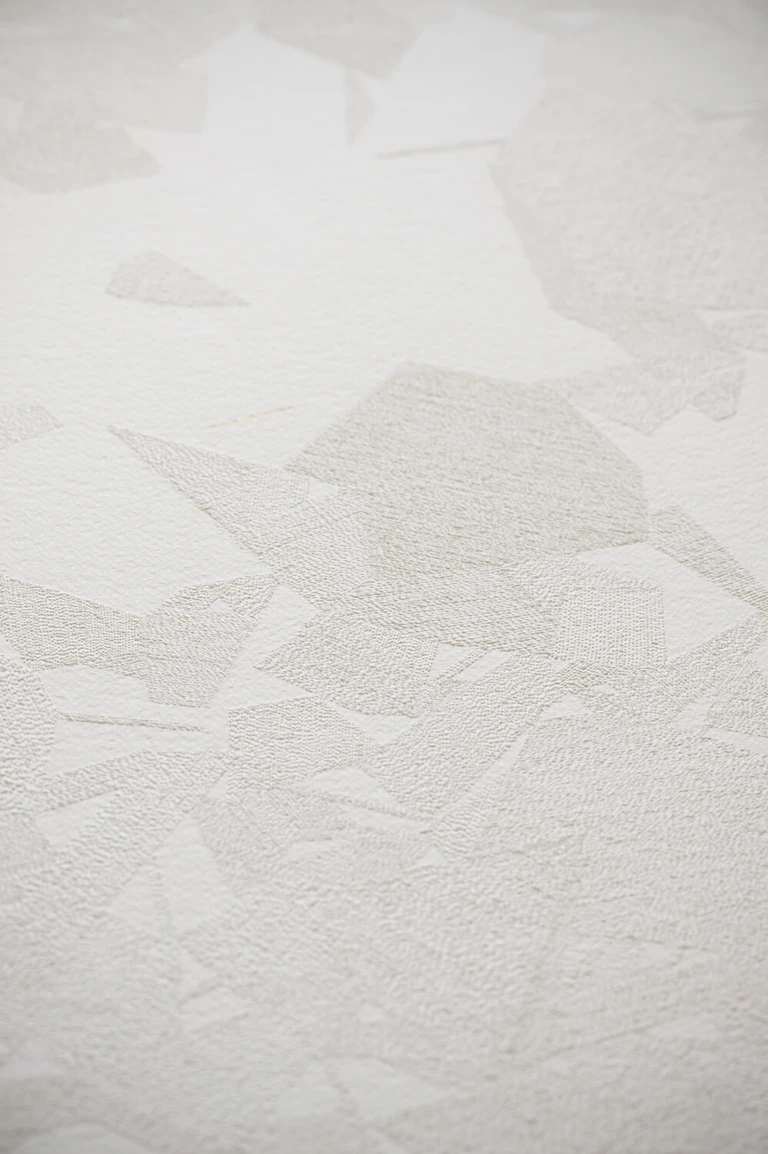 Saeed Naderi, Tersi equilibri, 2016