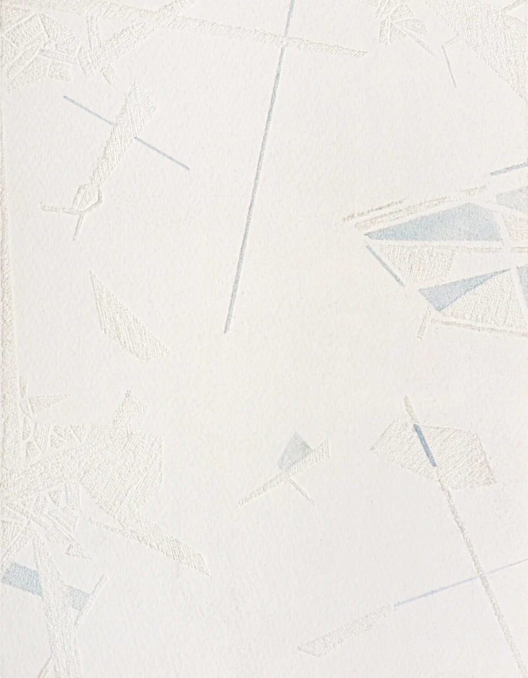 Saeed Naderi, Le Ombre dei rami, 2018
