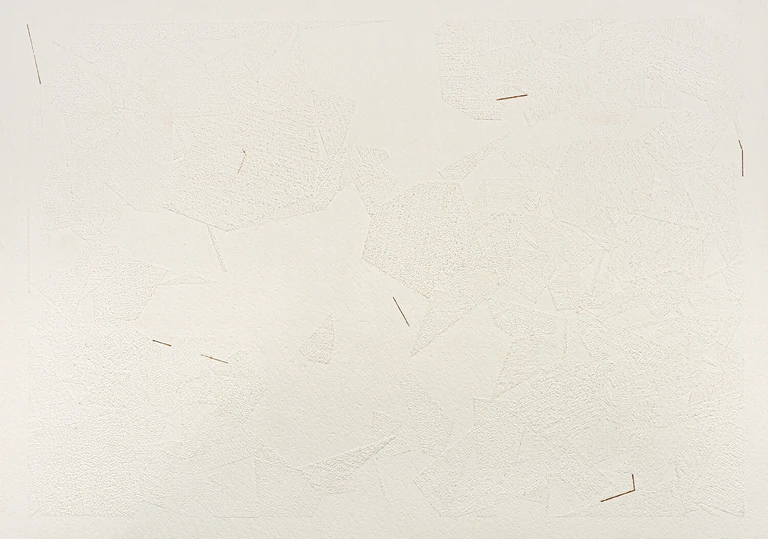 Saeed Naderi, Tersi equilibri, 2016